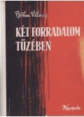 Böhm Vilmos - Két forradalom tüzében