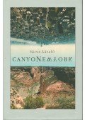 Sáros László - CanyoNewyork