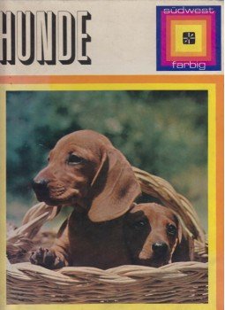 Torregrossa, Adriano - Hunde Torregrossa, Adriano - Hunde, München 1972 antikvár könyv