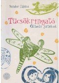 Sándor Ildikó - Tücsökringató