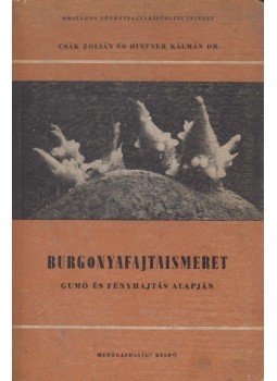 Csák Zoltán, Dr. Hifner Kálmán - Burgonyafajtaismeret gumó és fényhajtás alapján, Budapest 1955 antikvár könyv