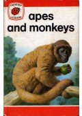 John Leigh-Pemberton - Apes and Monkeys