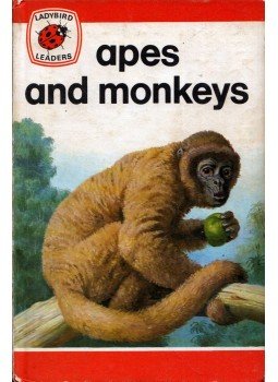 John Leigh-Pemberton - Apes and Monkeys John Leigh-Pemberton - Apes and Monkeys, Loughborough, Leicestershire 1975 antikvár könyv