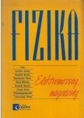 Varga Antal,Gulyás János,Rácz Mihály,Honyek Gyula,Markovits Tibor,Szalóki Dezső - Fizika - Elektromosság, mágnesség