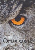 Szebényi Ildikó - Óriás sasok (dedikált)