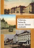 Fleisz János - Város, kinek nem látni mását