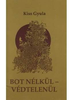 Kiss Gyula - Bot nélkül - Védetlenül Kiss Gyula - Bot nélkül - Védetlenül, Mezőkövesd 1992 antikvár könyv