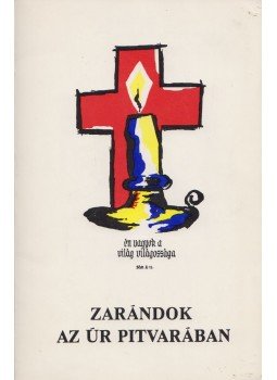 Szemtanú - Zarándok az Úr pitvarában, Cleveland 1980 antikvár könyv