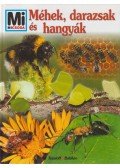 Sabine Steghaus-Kovac - Méhek, darazsak és hangyák