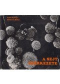 Csaba György,Madarász Bálint - A sejt szerkezete