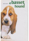 Juhász Katalin - A basset hound