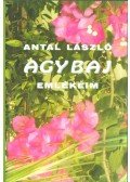 Antal László - Agybaj (dedikált)