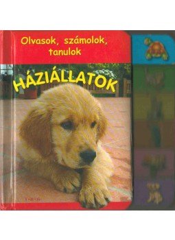  - Háziállatok - Olvasok, számolok, tanulok, Debrecen 0 antikvár könyv