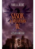 Viola Judit - Sasok a viharban IV. - A fészek melege