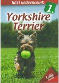 Horváth Szilvia - Yorkshire Terrier