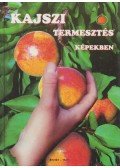 Molnár Lajos,Vágó Endre - Kajszitermesztés képekben
