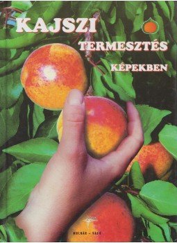 Molnár Lajos, Vágó Endre - Kajszitermesztés képekben Molnár Lajos, Vágó Endre - Kajszitermesztés képekben, Kecskemét 1999 antikvár könyv