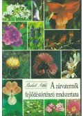 Borhidi Attila - A zárvatermők fejlődési rendszertana