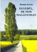 Román István - Egyedül, de nem magányosan