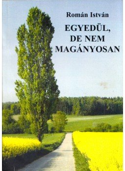 Román István - Egyedül, de nem magányosan Román István - Egyedül, de nem magányosan, 0 antikvár könyv