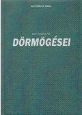 Szentmiklósi Tamás - Egy krónikás dörmögései