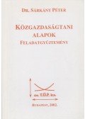 Dr. Sárkány Péter - Közgazdaságtani alapok
