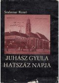 Szalatnai Rezső - Juhász Gyula hatszáz napja