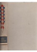 Nexő, Martin Andersen - Szürke fény