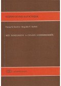 Forray R. Katalin,Hegedüs T. András - Két tanulmány a cigány gyermekekről