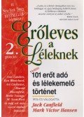 Jack Canfield,Mark Victor Hansen - Erőleves a léleknek - 2. porció