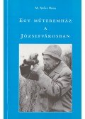 M. Szücs Ilona - Egy műteremház a Józsefvárosban