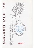 PÜSKI ISTVÁN,Sütő Zoltán,Kovács Imre Barna,Grandpierre Attila,HETESI ZSOLT ,Bogár László,Egely György,Mireisz László - Égi Magyarország