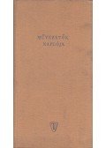 Bernhardt György - Művezetők naplója