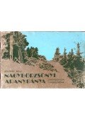 Soltész Béla - Nagybörzsönyi aranybánya