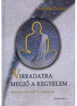 Nádor Tamás - Virradatra megjő a kegyelem (dedikált) Nádor Tamás - Virradatra megjő a kegyelem (dedikált), Budapest 2002 antikvár könyv