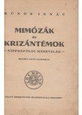 Kúnos Ignác - Mimózák és krizántémok