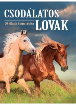  - Csodálatos lovak - 50 lófajta bemutatása, null 2020 antikvár könyv