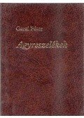 Garai Péter - Agyreszelékek (minikönyv)