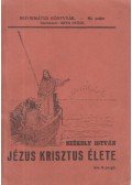 Székely István - Jézus Krisztus élete
