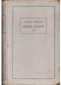 Bródy Sándor - Fehér Könyv XII. 1900. deczember.