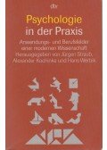 Jürgen Straub,Alexander Kochinka,Hans Werbik - Psychologie in der Praxis