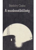 Bánfalvy Csaba - A munkanélküliség