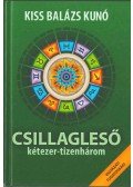 Kiss Balázs Kunó - Csillagleső kétezer-tizenhárom (dedikált)