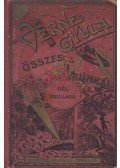 Verne Gyula - Dél csillaga