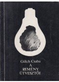 Gülch Csaba - A remény útvesztői