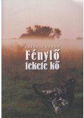 Székely Gábor - Fénylő fekete kő