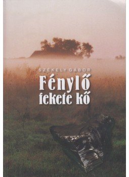 Székely Gábor - Fénylő fekete kő Székely Gábor - Fénylő fekete kő, Budapest 2017 antikvár könyv
