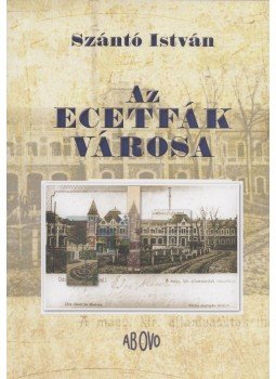 Szántó István - Az ecetfák városa (dedikált) Szántó István - Az ecetfák városa (dedikált), Budapest 2013 antikvár könyv
