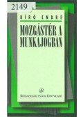 Bíró Endre - Mozgástér a munkajogban