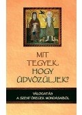 Baán István - Mit tegyek, hogyüdvözüljek?